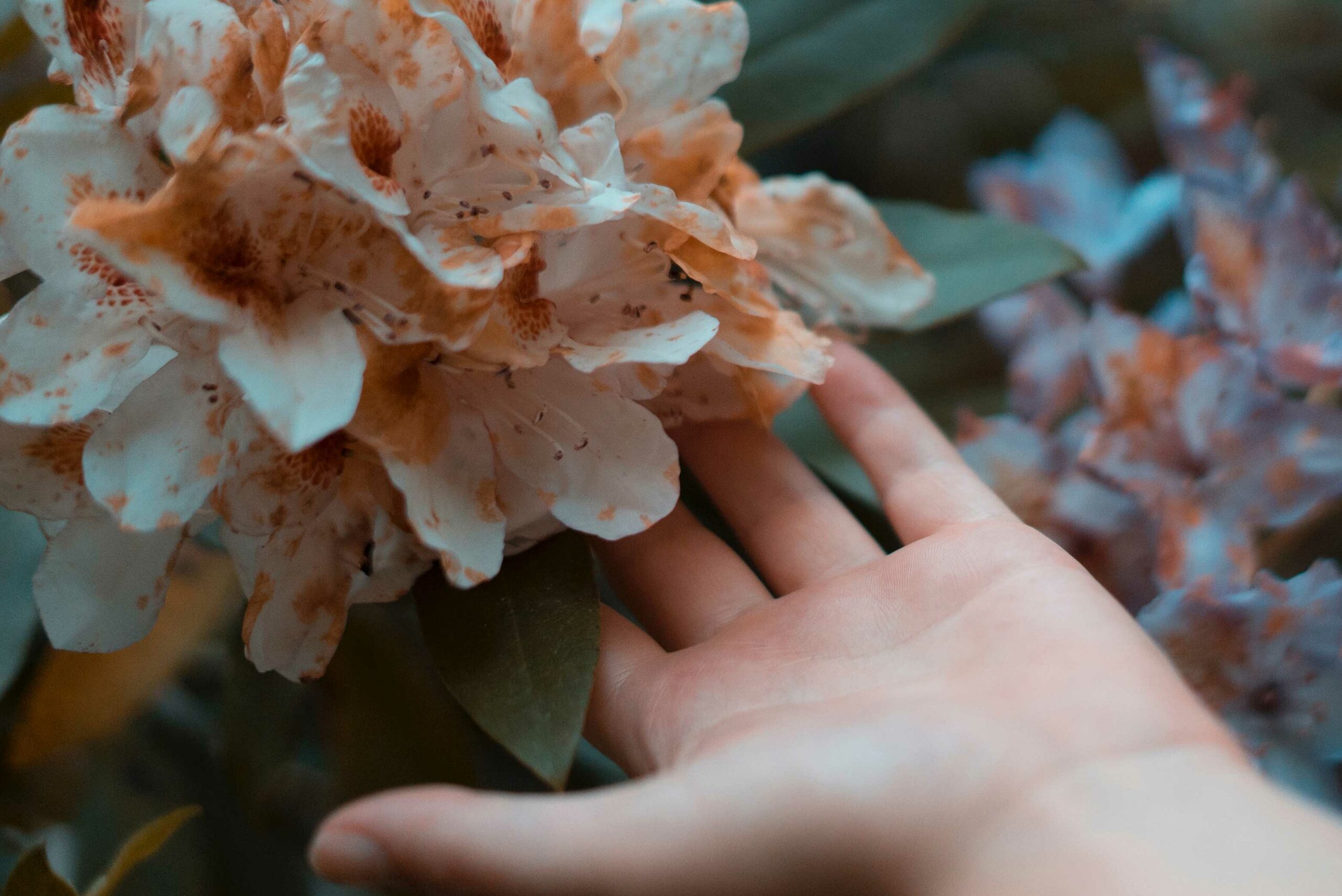 Main tient un bouquet