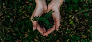 Main tient terre et plante