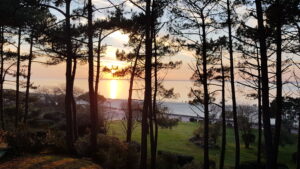 Arbres et coucher de soleil