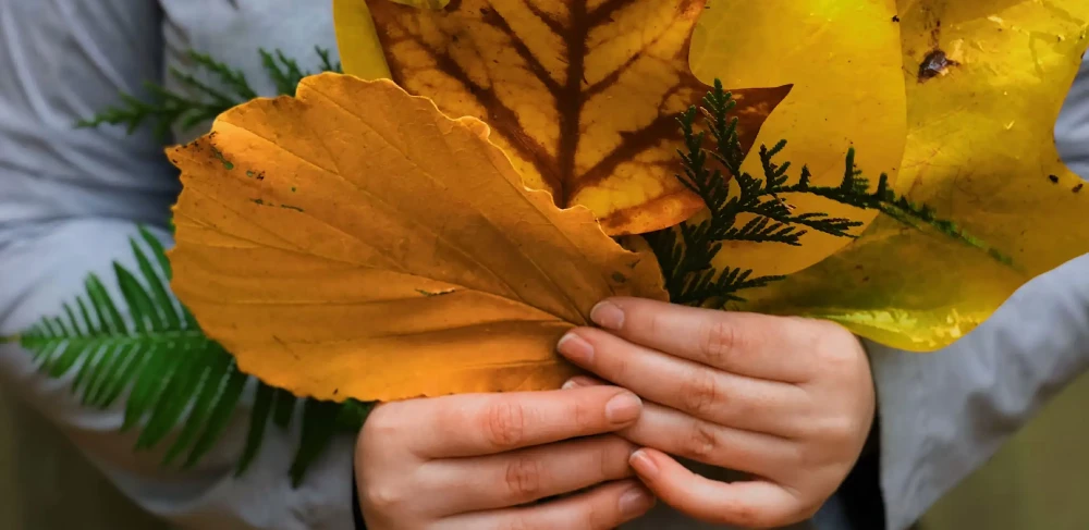 Raison d’être de Syprès