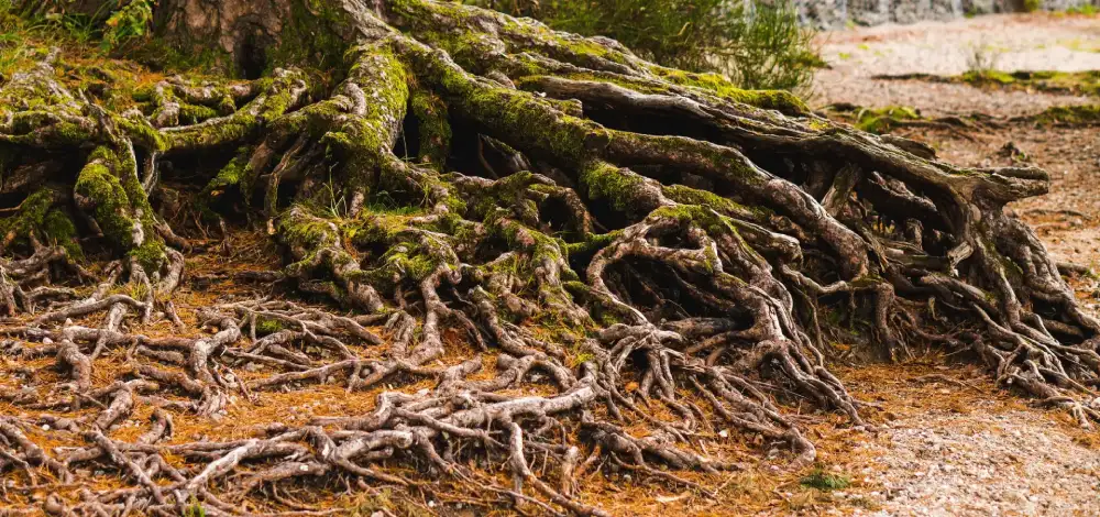 Notre Histoire Sypres