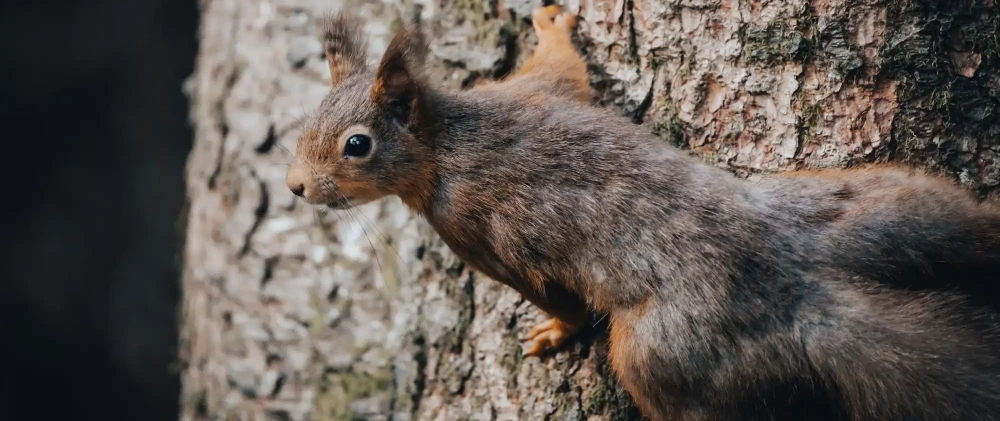 Nos inspirations et partenariats