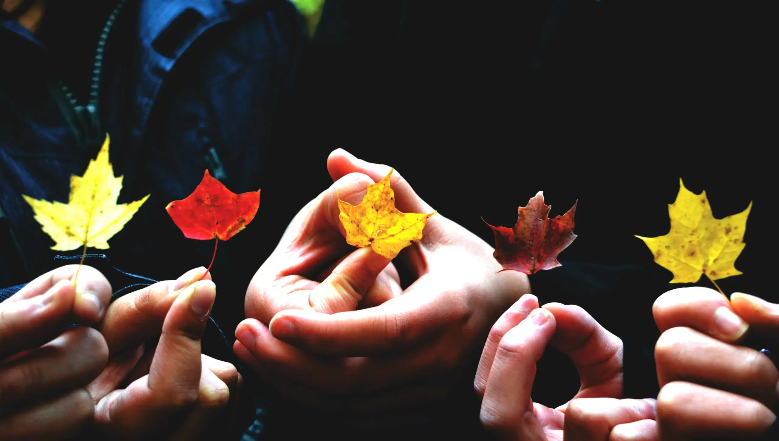 Pourquoi choisir Syprès ?