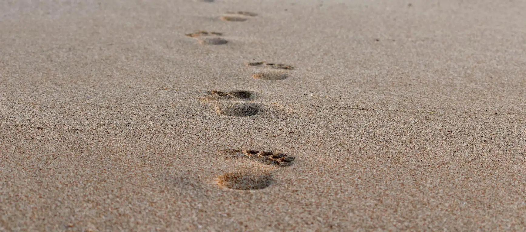 Exprimer ses volontés funéraires